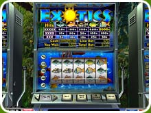 Exotics Slot Screenshot