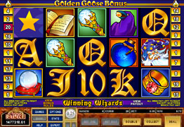 Golden Goose Winning Wizard Slot Screenshot
